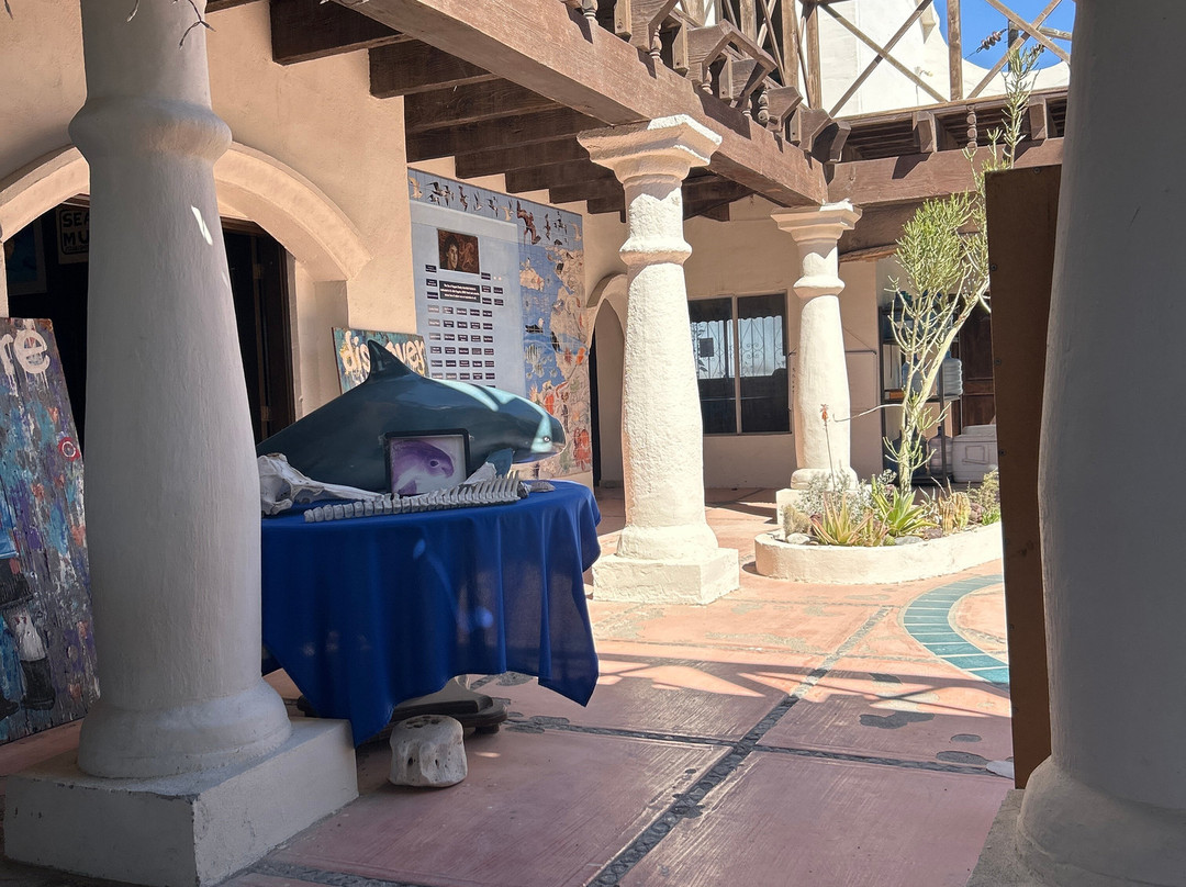 Mermaid's Market-佩纳斯科港必去景点