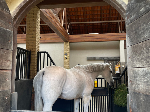 Bali Farm House-Pancasari必去景点