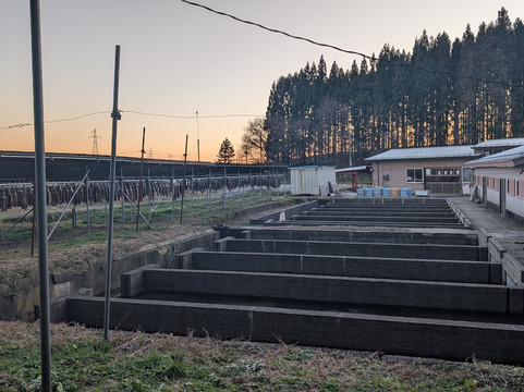 Maruiikesama Pond-游佐町必去景点