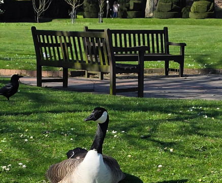 Priory Gardens-奥尔平顿必去景点