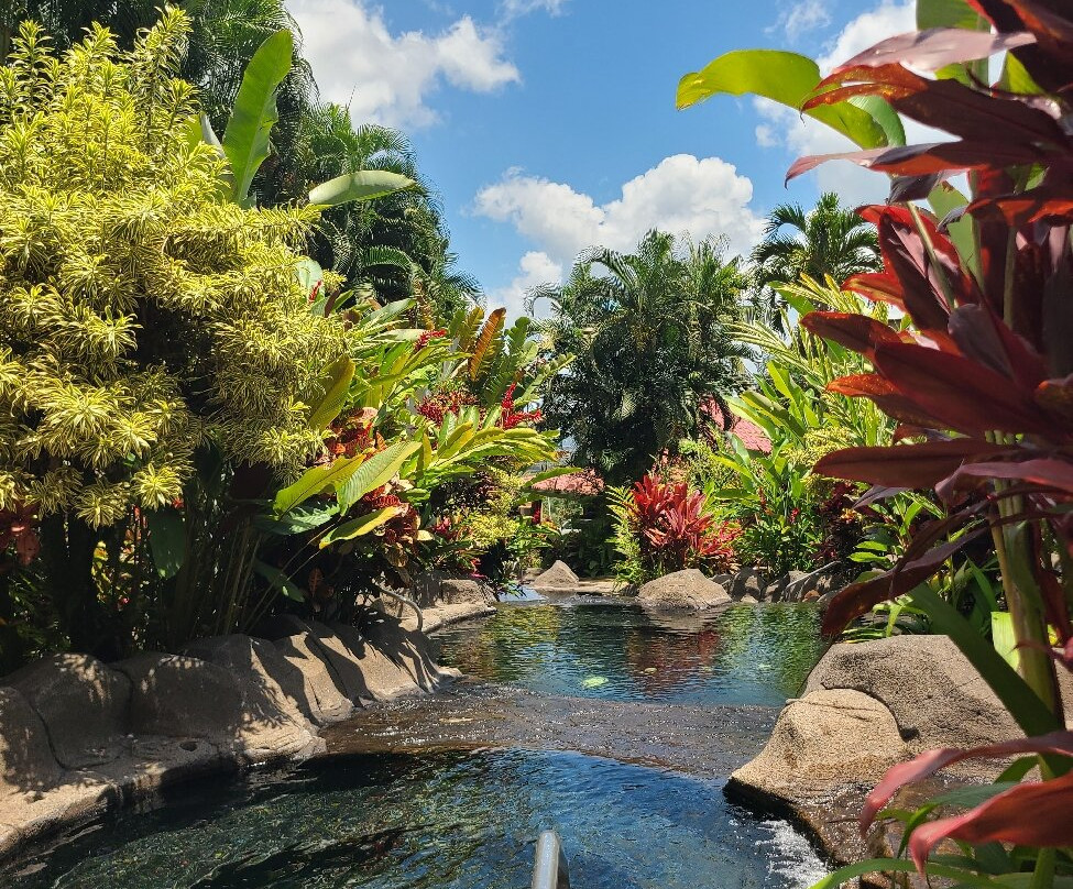 Titoku Hot Springs-福德圣卡洛斯必去景点