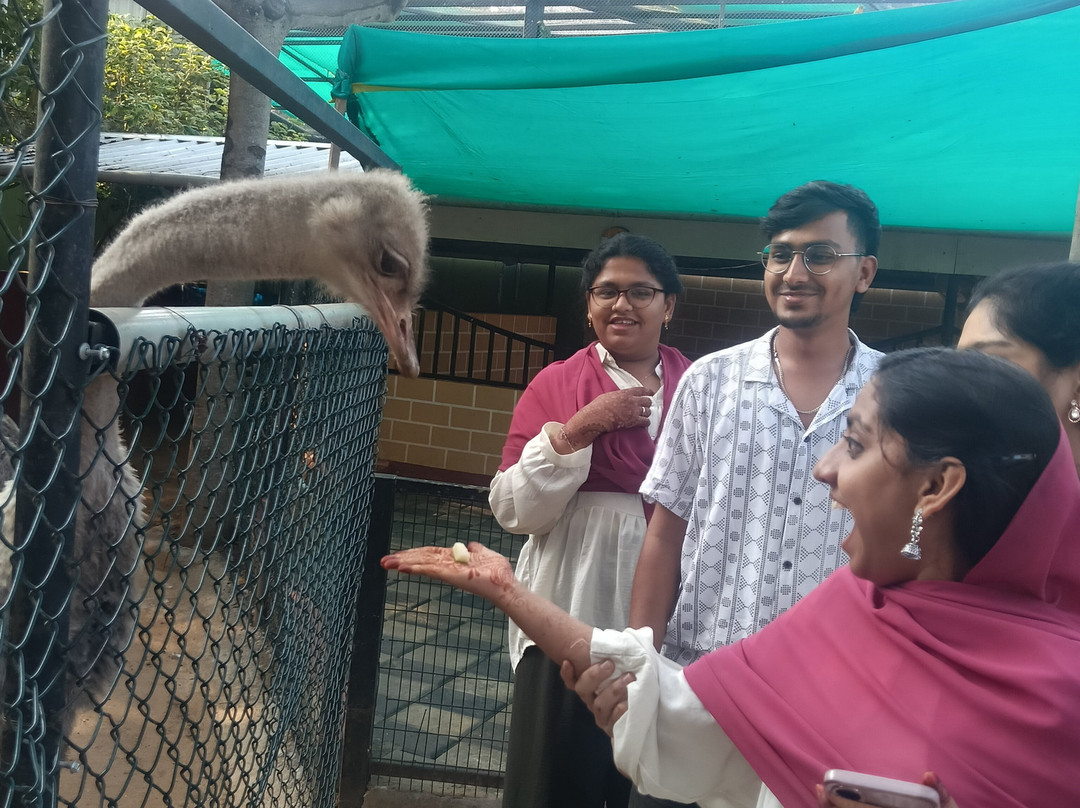 Fundera Park-Yelagiri必去景点