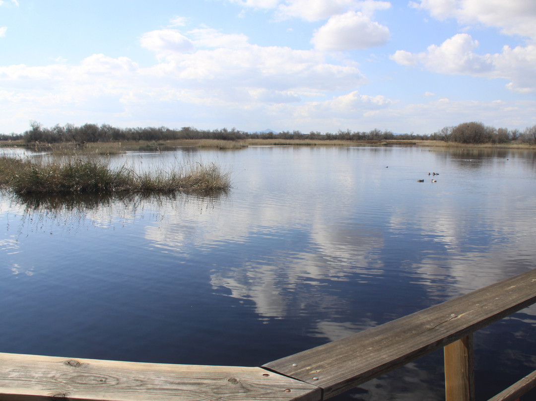 Parque Nacional de las Tablas de Daimiel-Daimiel必去景点