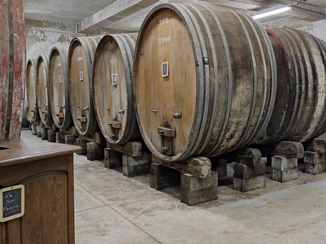 Domaine De Siante-marie-Arlay必去景点