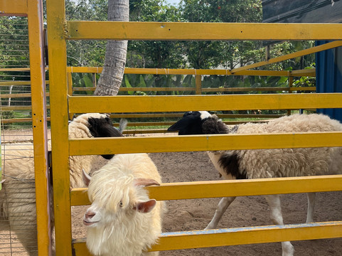 三亚香格里拉度假酒店主图