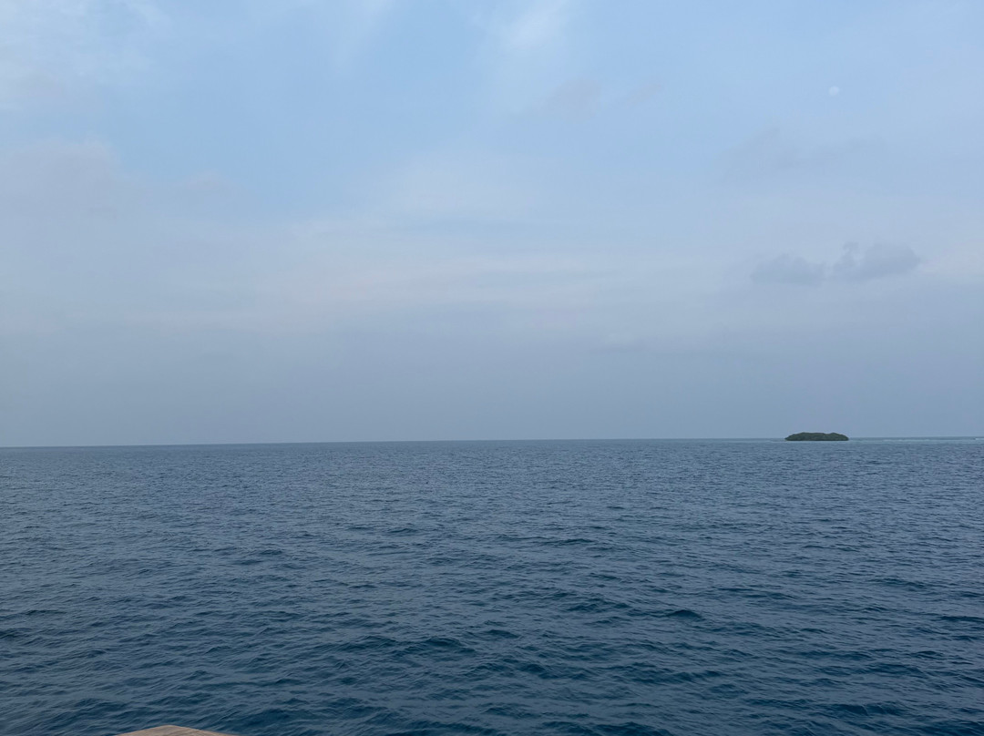 Blue Wave Ifuru By Dive Butler At Ifuru Island Maldives-Ifuru必去景点