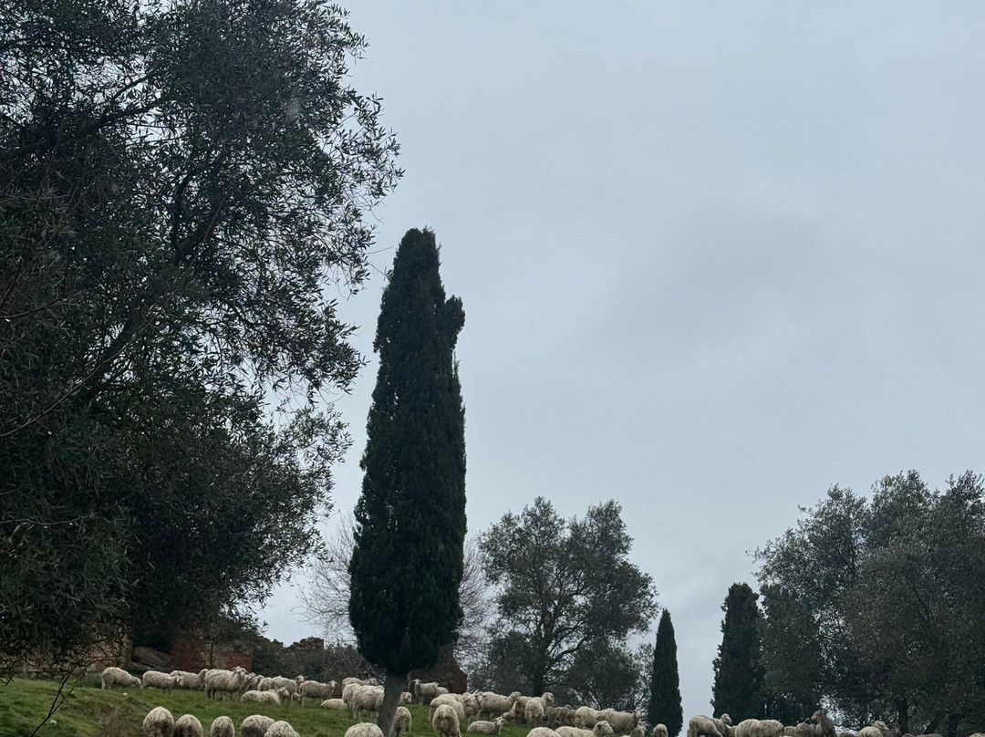 Fratelli Farina Azienda Agricola-阿夏诺必去景点