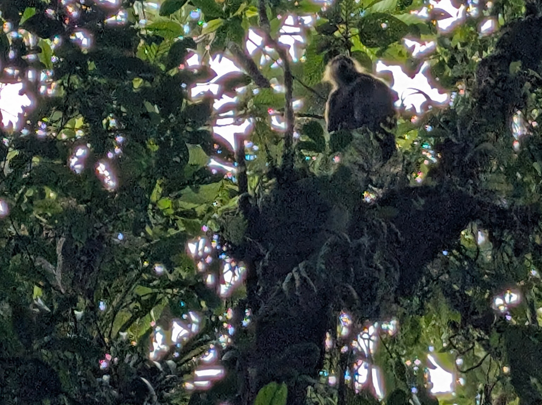 ILT Costa Rica-圣何塞必去景点