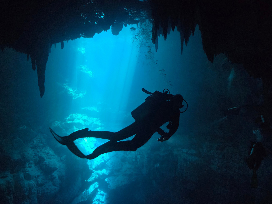 Remi Diving in Mexico-普拉亚德尔卡曼必去景点