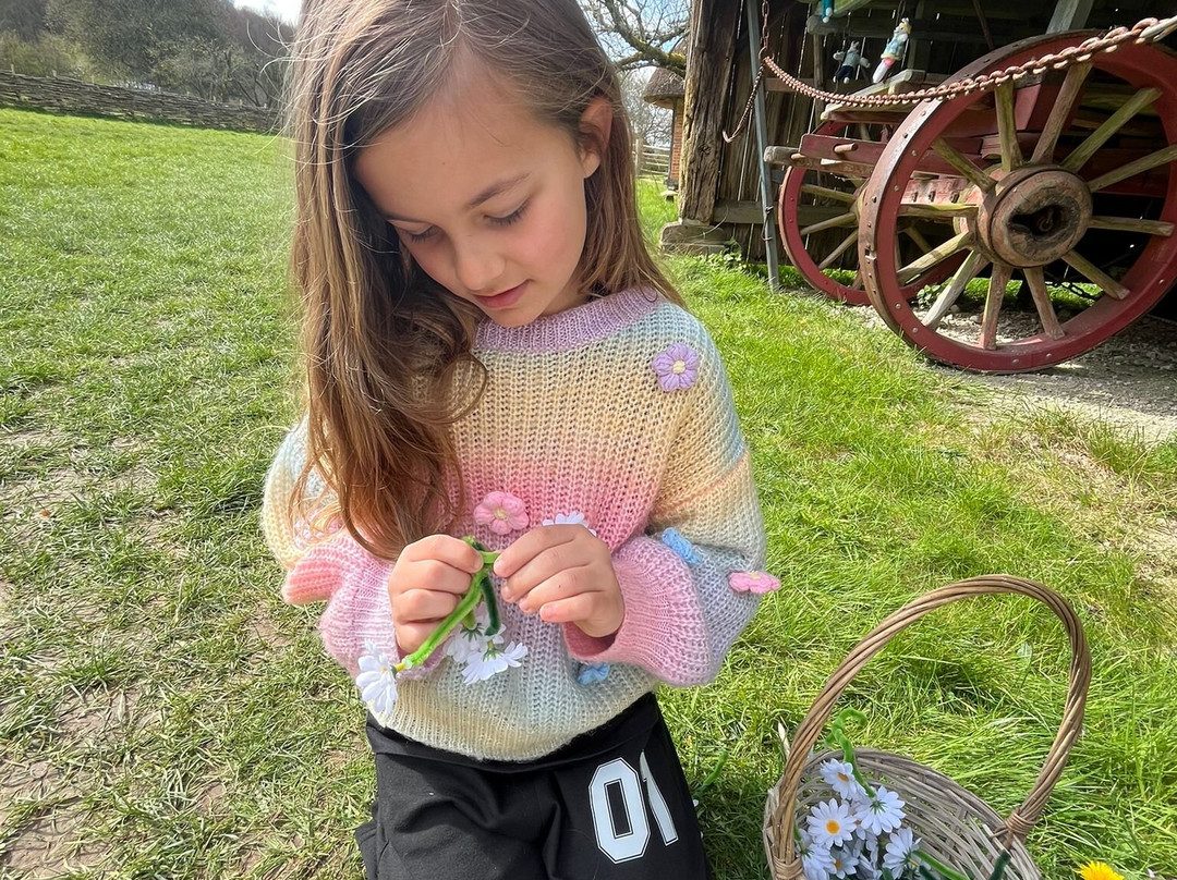 Weald & Downland Living Museum-Singleton必去景点