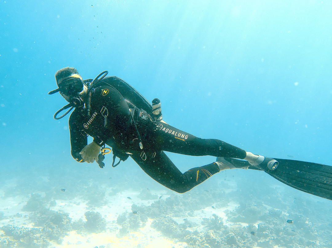 ORCA Dive Club Soma Bay-索马湾必去景点