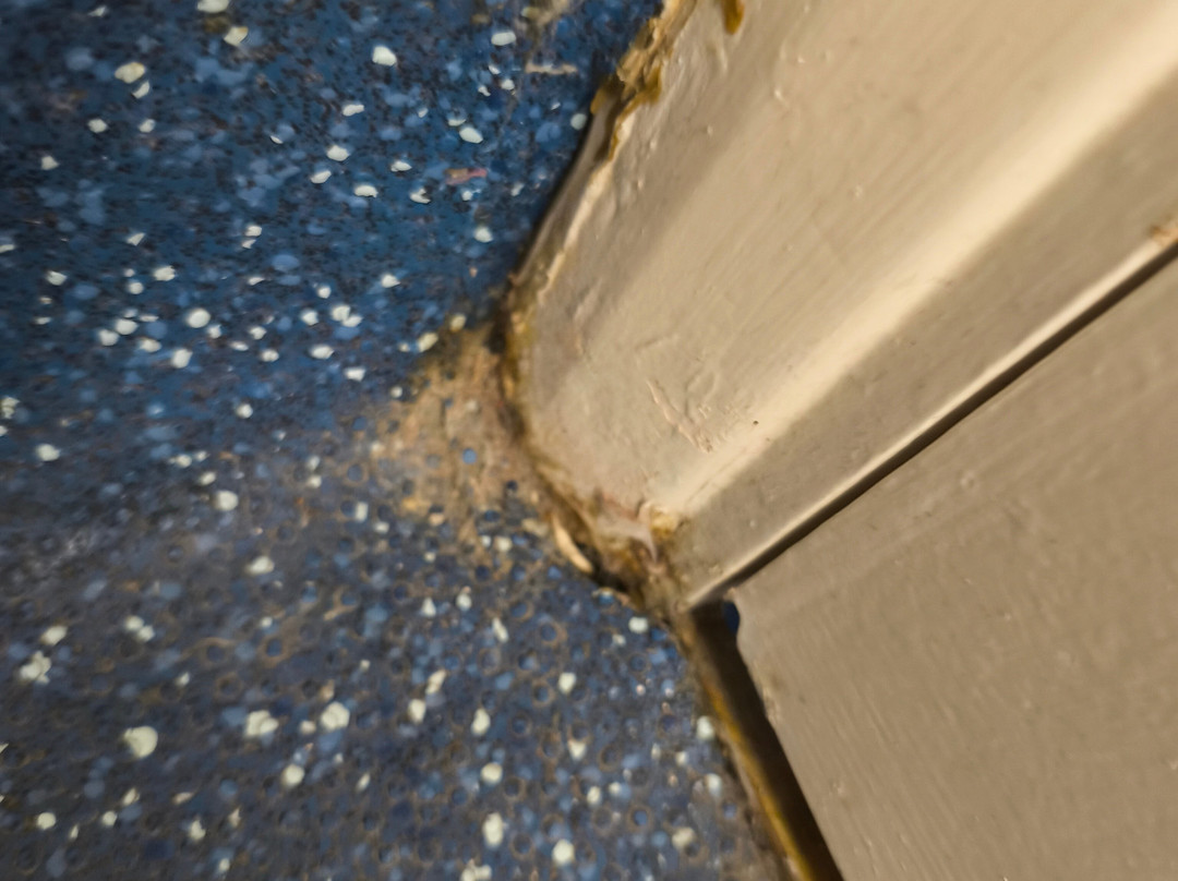 邓巴顿旅客之家酒店主图