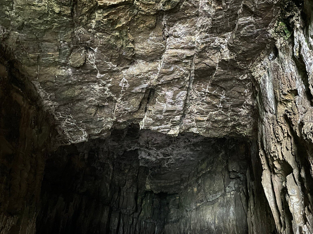 Cathedral Caves Walk-查斯兰兹必去景点