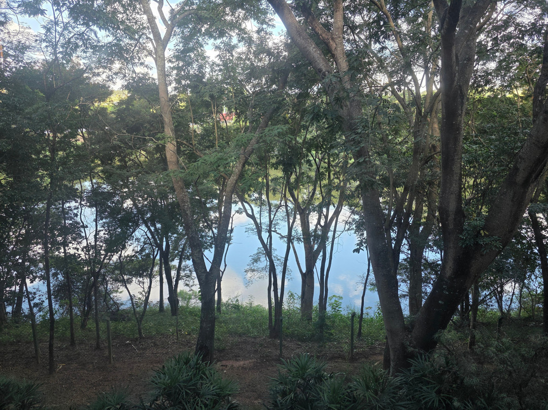 青绿度假村 - 大西洋主图