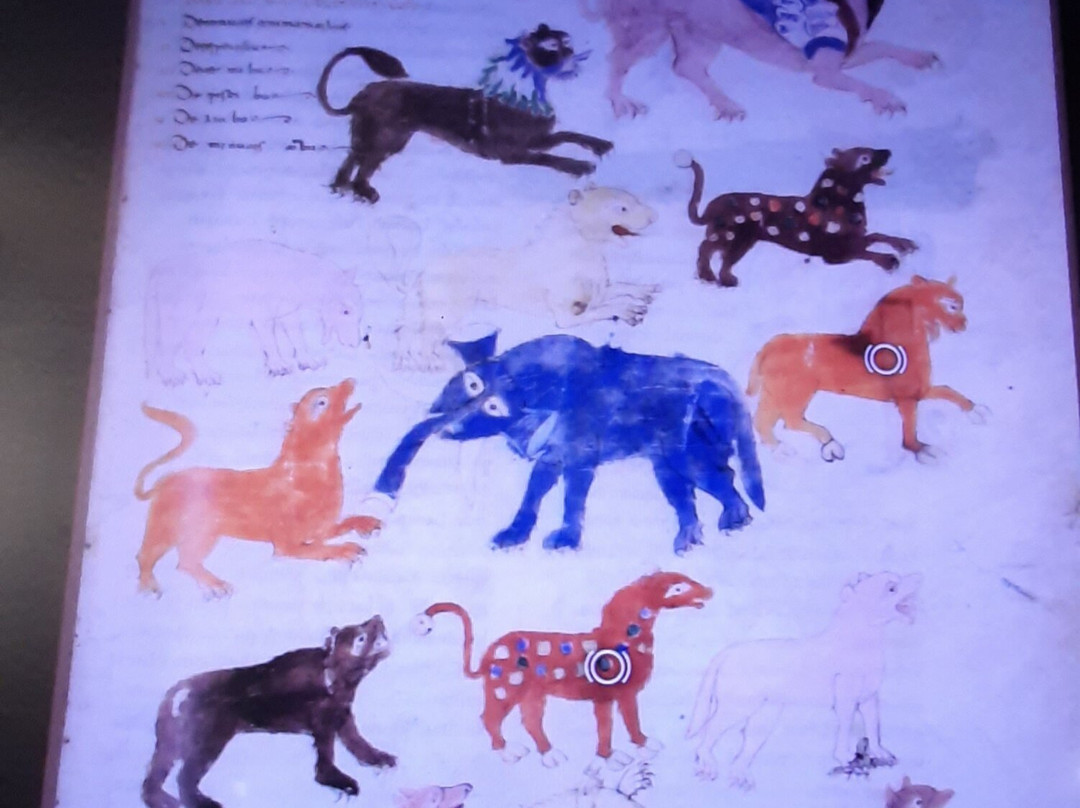 Centro Storico-Atina必去景点