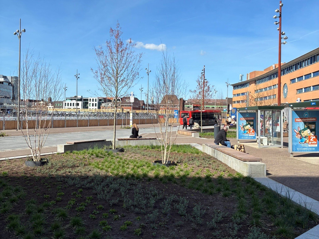 Station Hilversum-Hilversum必去景点