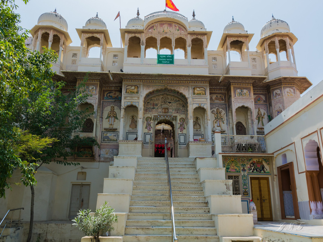 Voyage au Rajasthan avec Krishna Singh-Mandawa必去景点