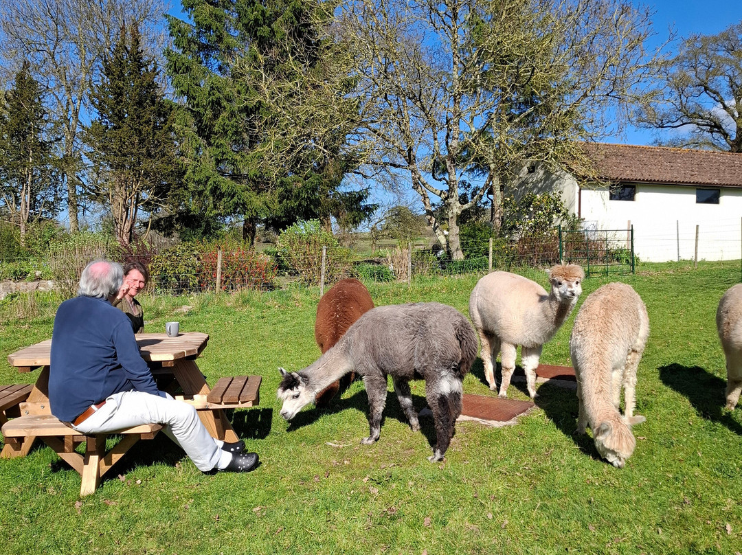 Reservoir Alpacas-Chard必去景点