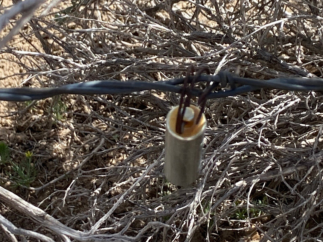 Loneliest Highway in America (Hwy. 50)-内华达必去景点