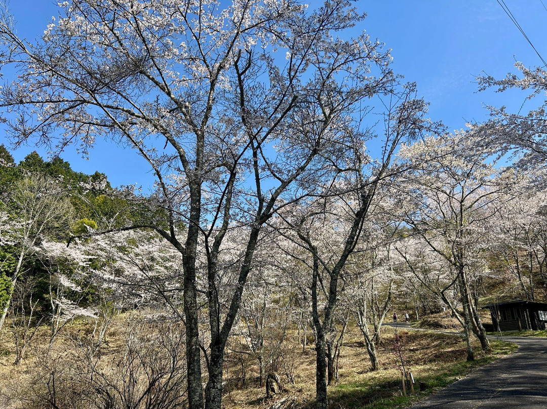 Naegi Castle Ruins-中津川市必去景点