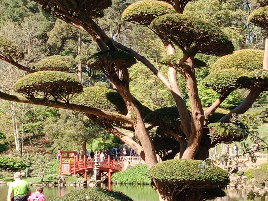 Parc Oriental de Maulevrier-Maulevrier必去景点