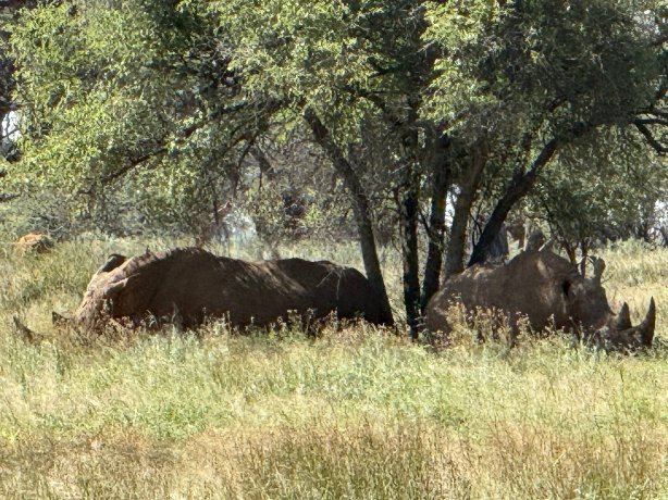 奥康吉玛平原山林小屋-官方