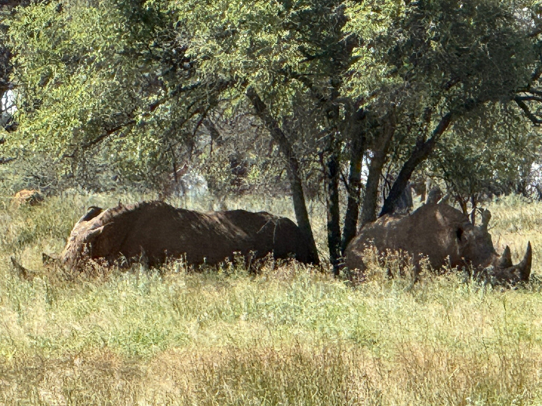 奥康吉玛平原山林小屋主图