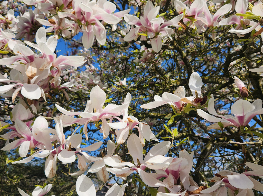 West Acre Gardens-West Acre必去景点