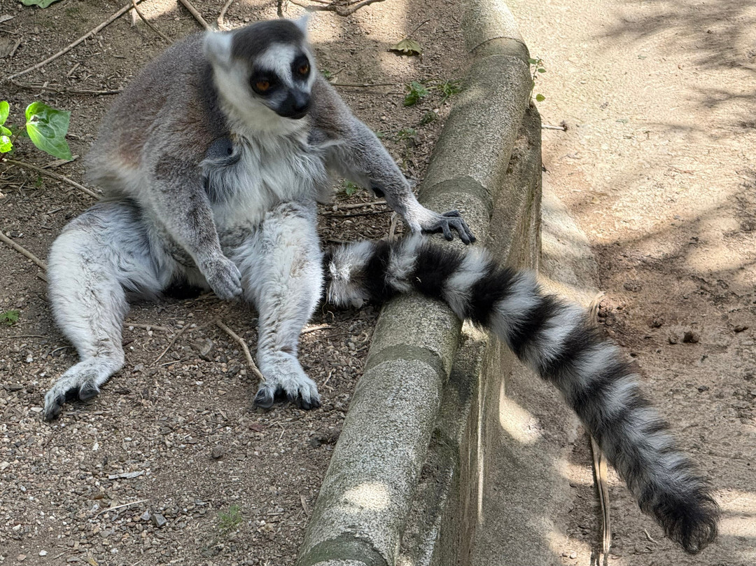 Mundo Park-Las Pajanosas必去景点