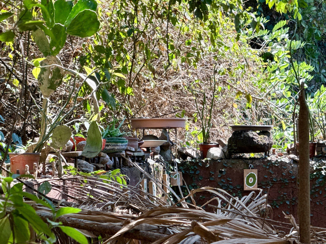 Centro de Visitantes OASP-旧金山必去景点