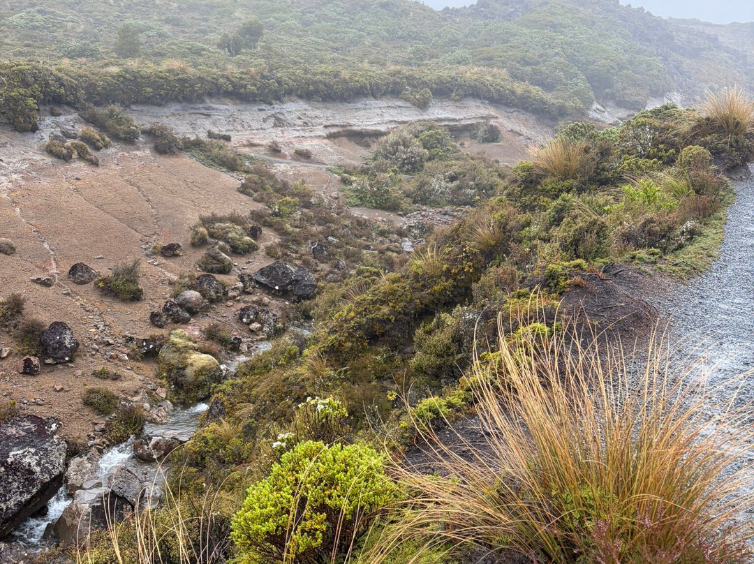 Taranaki Falls-汤加里罗国家公园必去景点