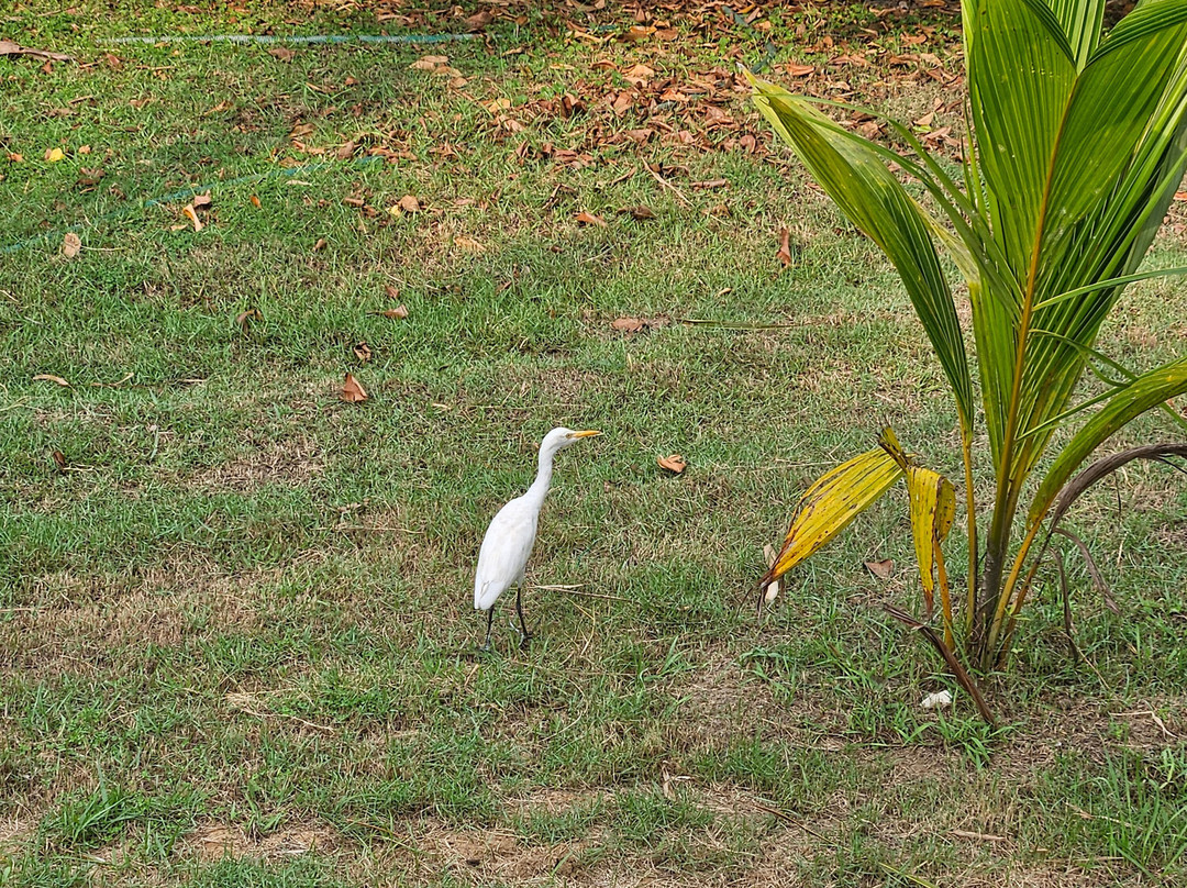 波瓦尔岛度假村主图