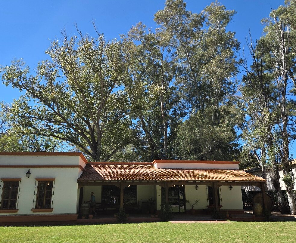 Bodega Goyenechea-圣拉斐尔必去景点