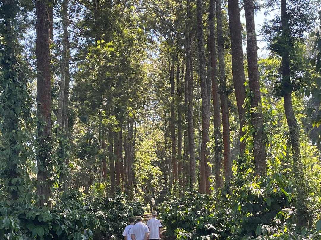 果儿古回归原始酒店主图