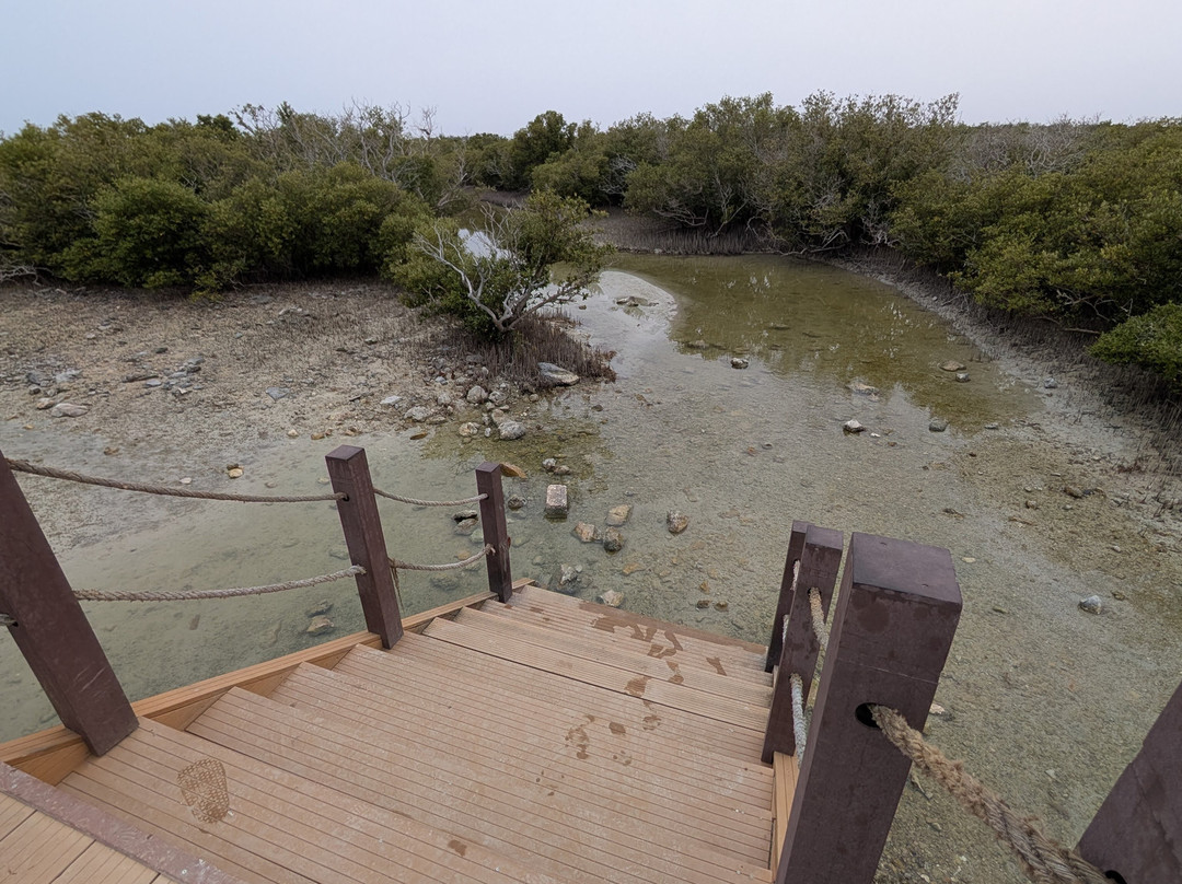 Purple Island - Al Khor Island-Al Khor必去景点
