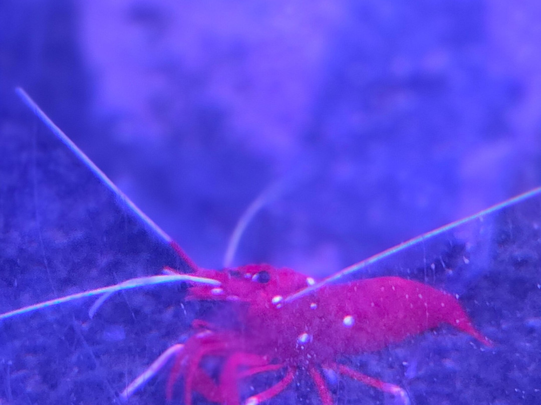 Sea Life Scarborough-斯卡伯勒必去景点