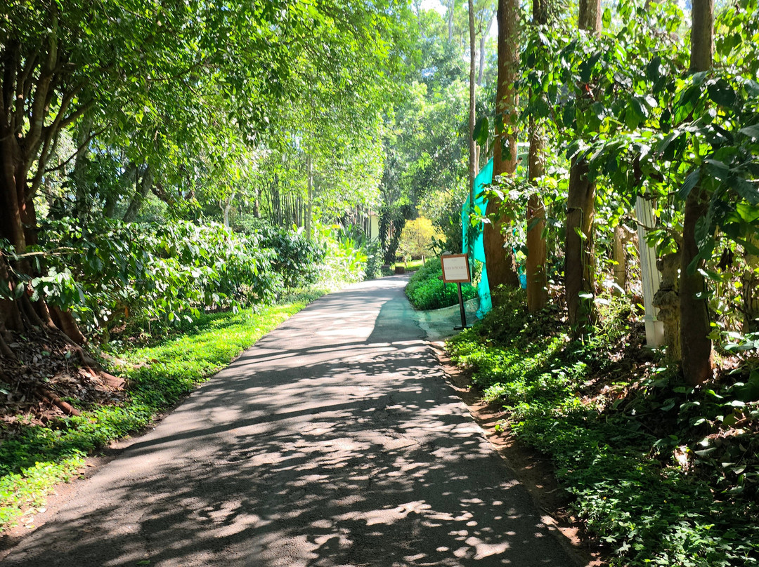 果儿古回归原始酒店主图