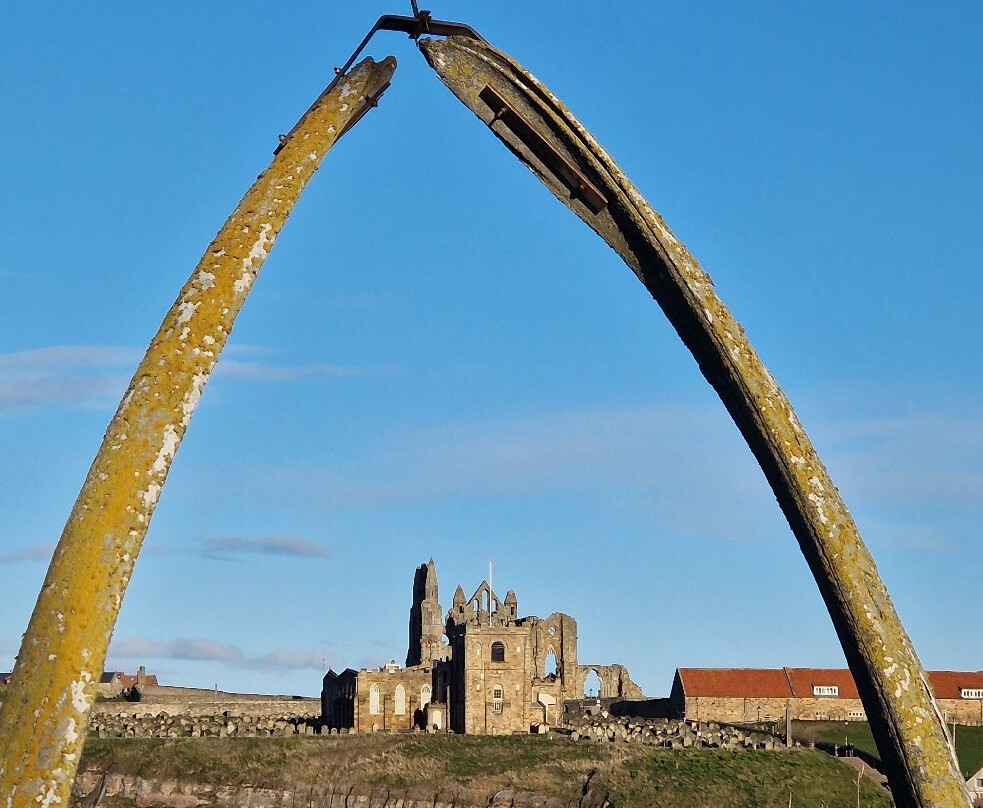Whitby Walks-惠特比必去景点