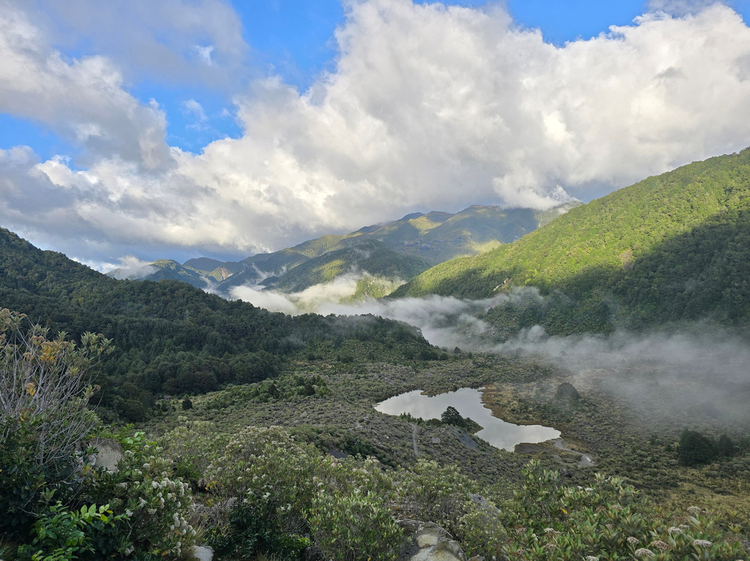 The Old Ghost Road-韦斯特波特必去景点