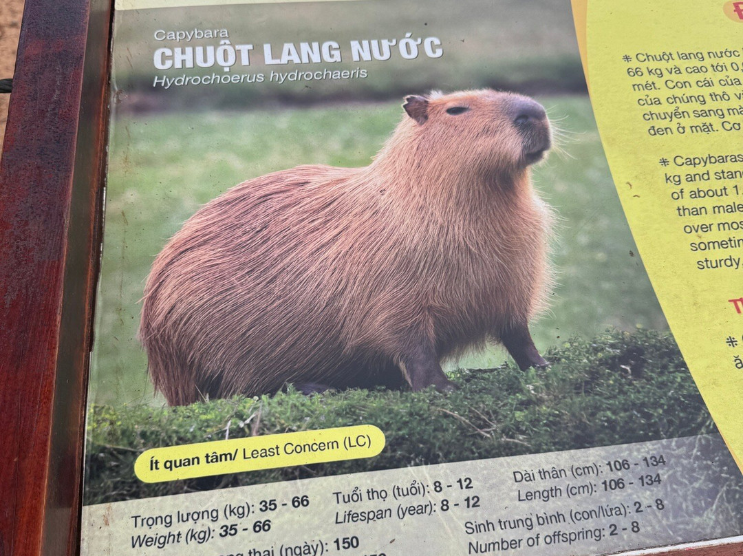 珍珠王国野生动物园-富国岛必去景点