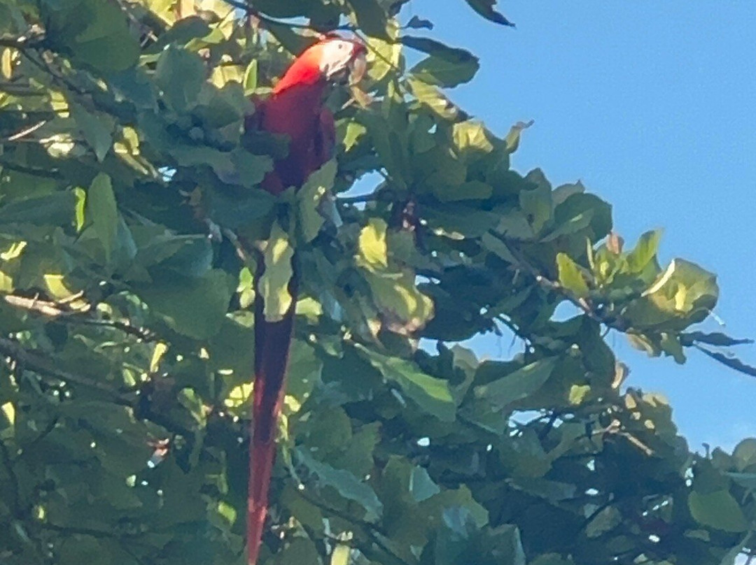 德芬贝胡科海滩酒店主图