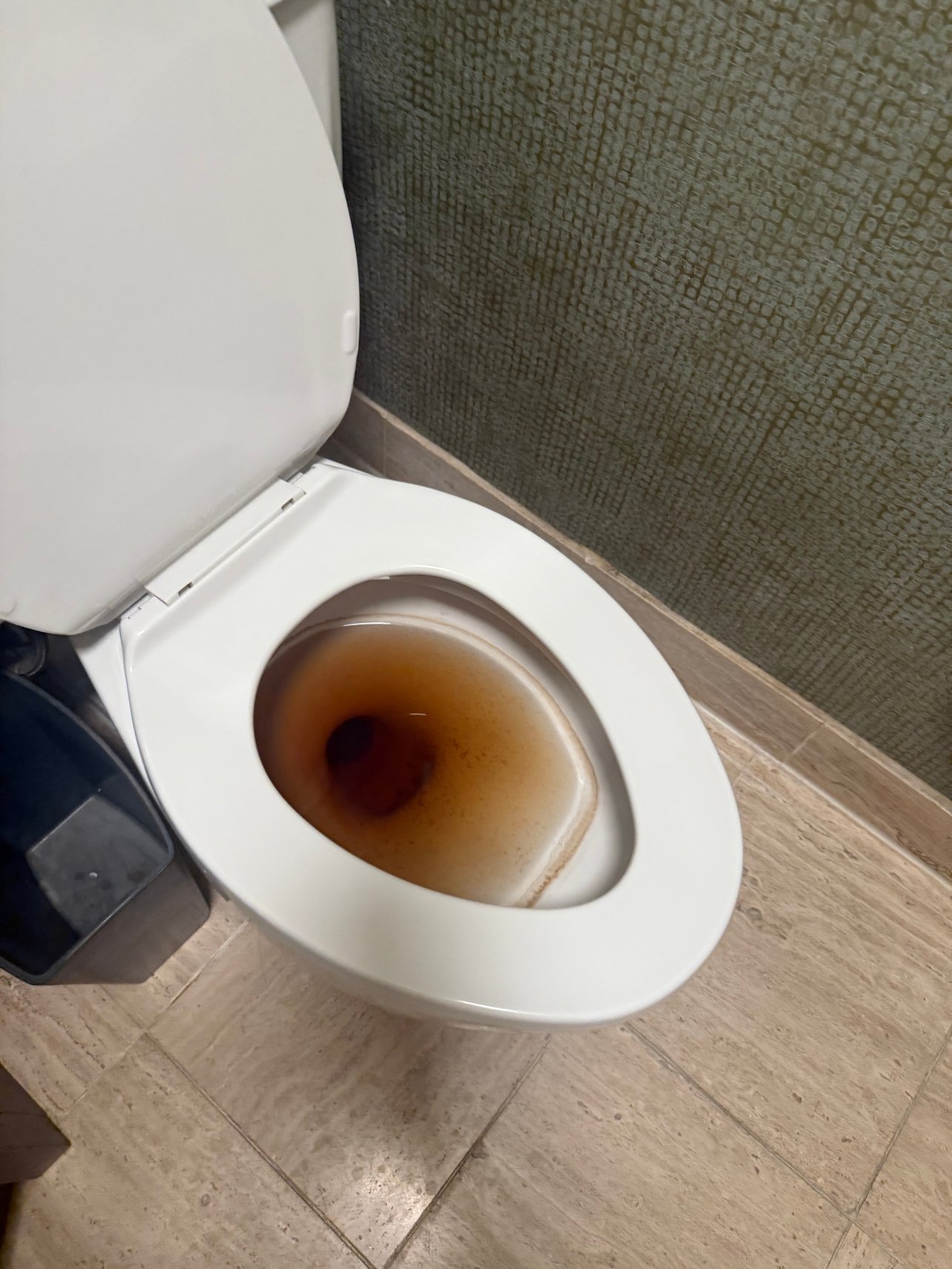 比灵斯希尔顿逸林酒店-旅行者