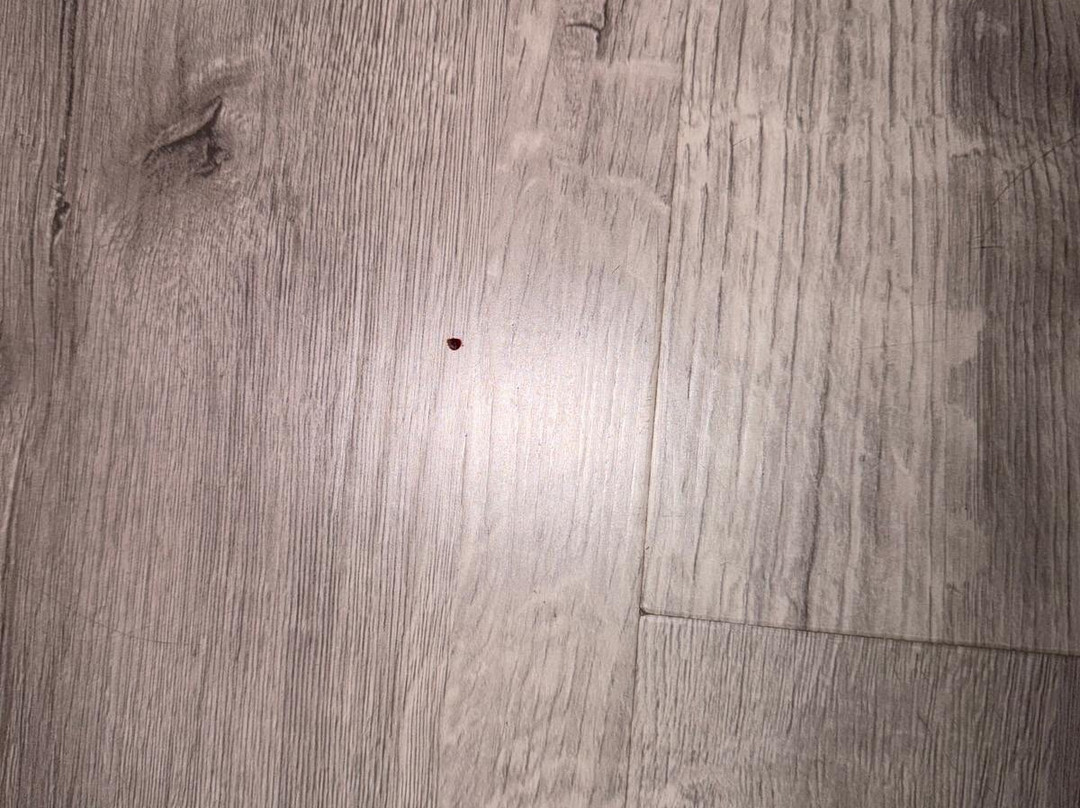 布里斯班北部舒适酒店主图