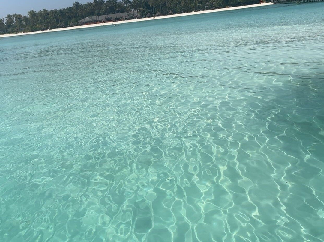 阳光岛别墅公园主图