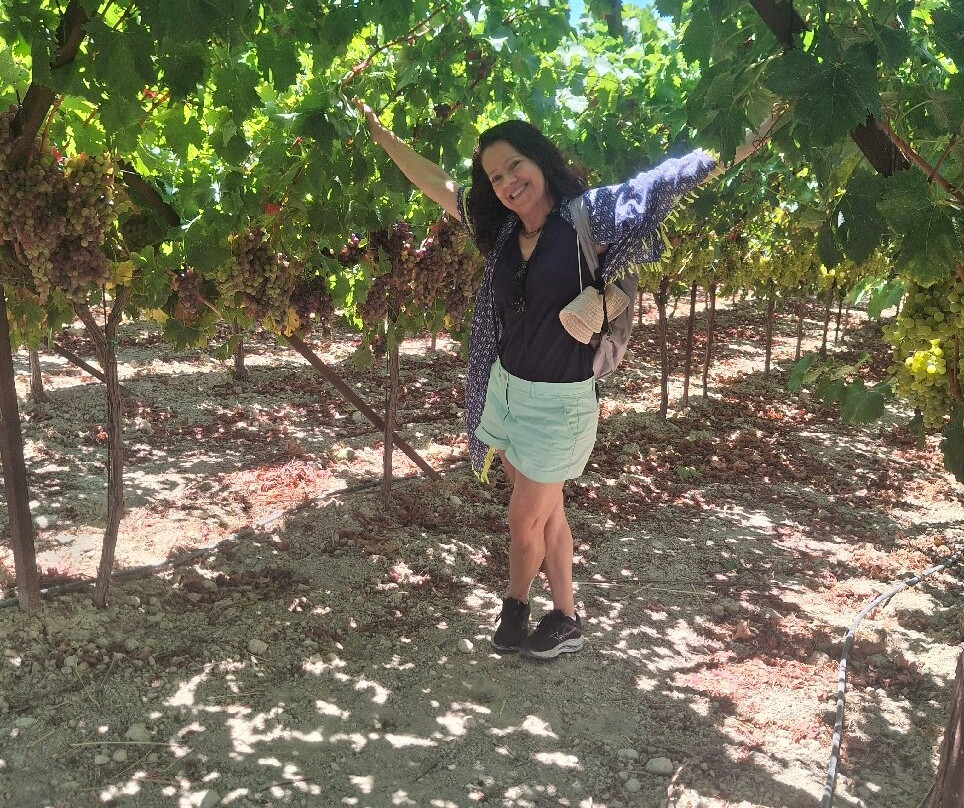Fournarakis Winery-Episkopi必去景点