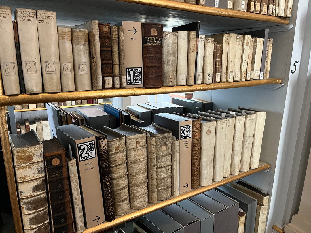 Duchess Anna Amalia Library-魏玛必去景点