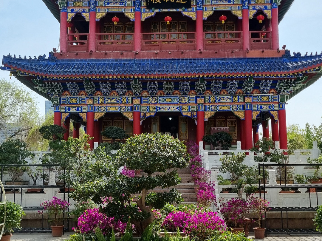红山公园-乌鲁木齐市必去景点