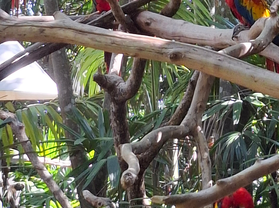 Rescate Wildlife Rescue Center-阿拉辉拉必去景点
