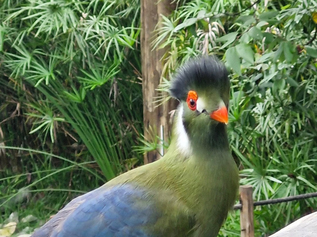 Parque Arvorar-Aquiraz必去景点