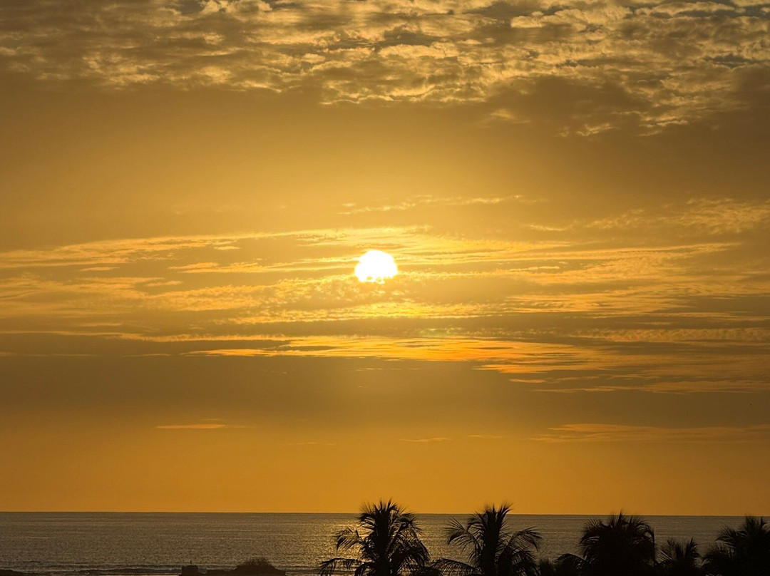 Matt's Fishing & Tours-萨迪纳尔必去景点